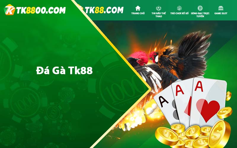 Đá Gà Tk88 - Hướng dẫn chơi đá gà trực tiếp casino Tk88 4 Đá Gà Tk88