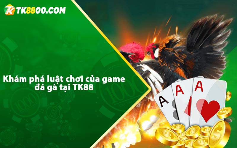 Đá Gà Tk88 - Hướng dẫn chơi đá gà trực tiếp casino Tk88 6 Khám phá luật chơi của game đá gà tại TK88