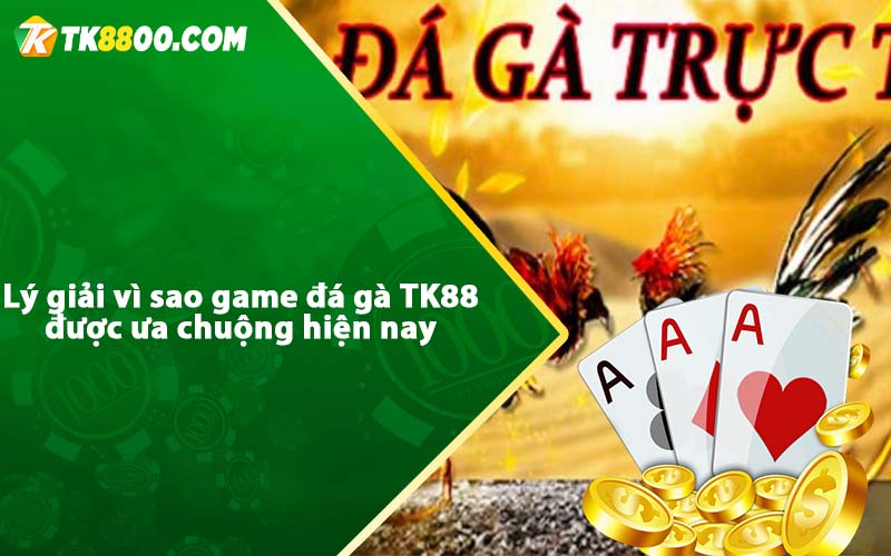 Đá Gà Tk88 - Hướng dẫn chơi đá gà trực tiếp casino Tk88 5 Lý giải vì sao game đá gà TK88 được ưa chuộng hiện nay