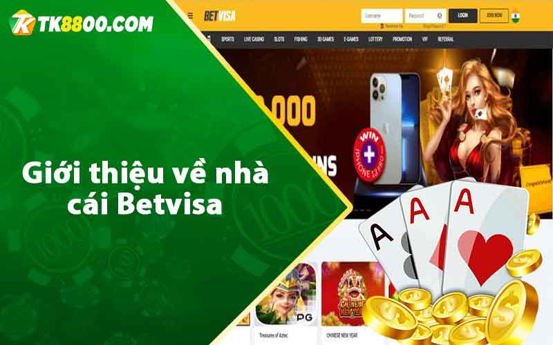 Betvisa - Nhà Cái Cá Cược Dẫn Đầu Thị Trường Tại Việt Nam 6 Giới thiệu về nhà cái Betvisa