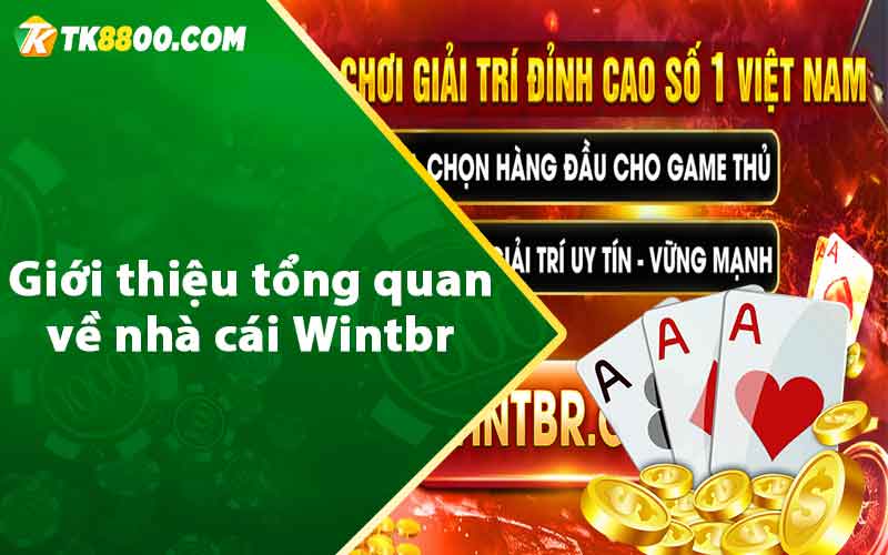 Wintbr - Sự Lựa Chọn Hàng Đầu Dành Cho Cược Thủ 6 Giới thiệu tổng quan về nhà cái Wintbr