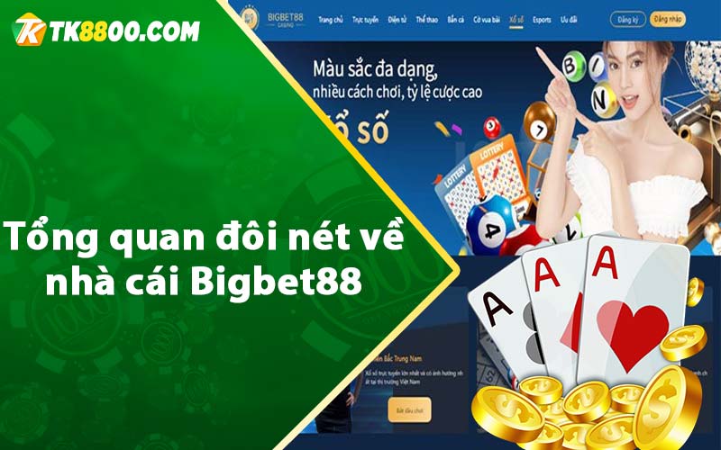 Bigbet88 - Link Đăng Ký Tài Khoản Nhận 88k 6 Tổng quan đôi nét về nhà cái Bigbet88