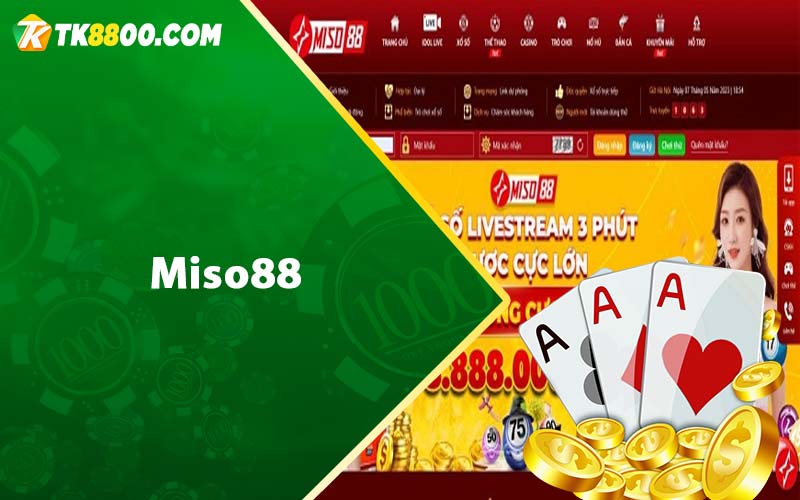 Miso88 - Nhà Cái Top 1 Uy Tín Hàng Đầu Châu Á 5 Miso88