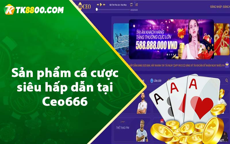 Ceo666 - Nhà Cái Ceo666 Uy Tín - Đăng Ký Tặng 50k 6 Sản phẩm cá cược siêu hấp dẫn tại Ceo666